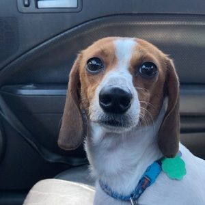 Meet your Posher, Nathan